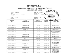 广东个人薪资流水制作